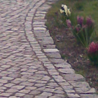 Referenz: Bild 2 von 24